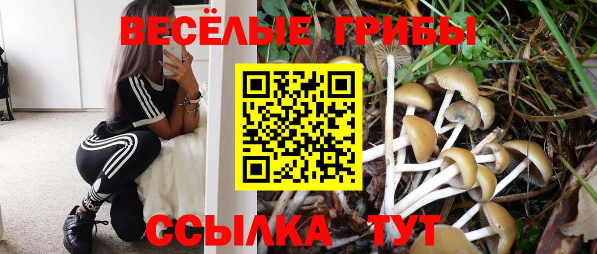 Галлюциногенные грибы мухоморы Узловая